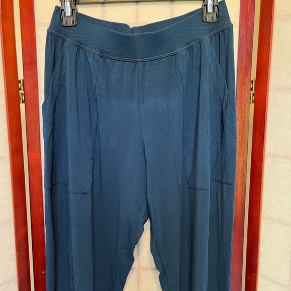 Jogger Set - Top & Bottom - NWT - Picture 7 of 9